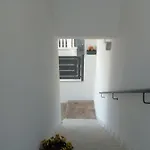 Il Colle Del Barone B&B